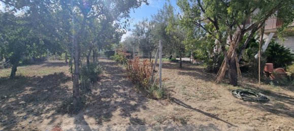 5-Zimmer Haus in Monteprandone, Italy, Nr. 227720 9