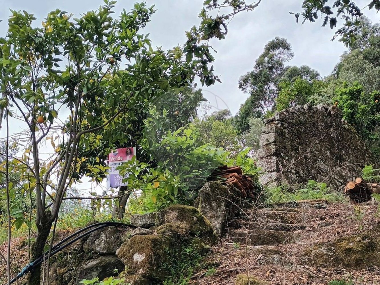 Casa de 1 dormitorio en Amares, Portugal No. 180937
