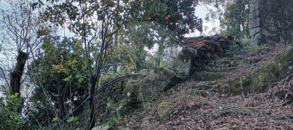 Casa de 1 dormitorio en Amares, Portugal No. 180937 5