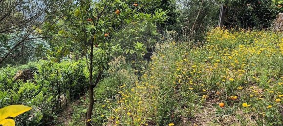 Casa de 1 dormitorio en Amares, Portugal No. 180937 4