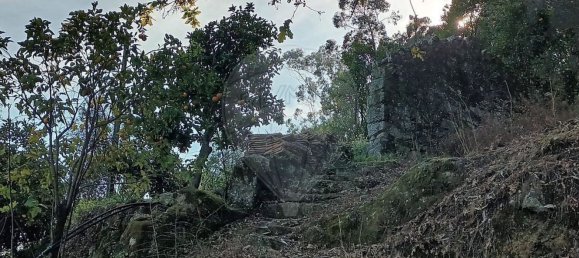 Casa de 1 dormitorio en Amares, Portugal No. 180937 7