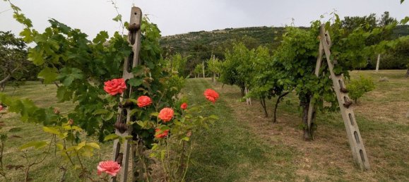 8500m² Land in Perugia, Italy No. 322686 23