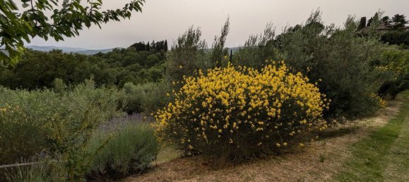 8500m² Land in Perugia, Italy No. 322686 22