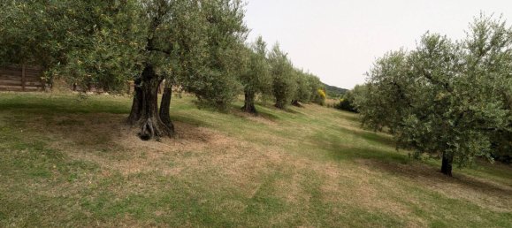 8500m² Land in Perugia, Italy No. 322686 20