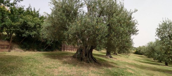 8500m² Land in Perugia, Italy No. 322686 19