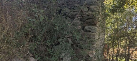 10 bedrooms House in Saint Denis, Italy No. 331621 7