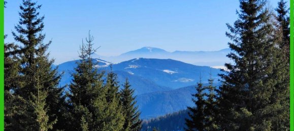 Terrain à Albeck, Austria No. 235118 5