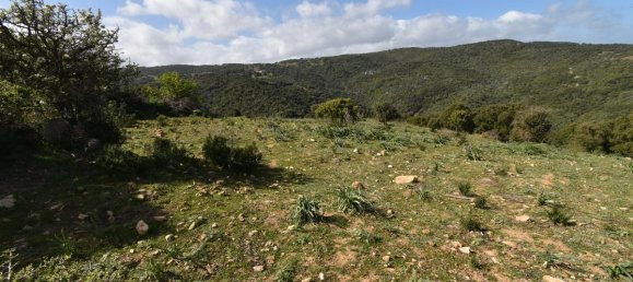 354038m² Land in Luras, Italy No. 150977 4