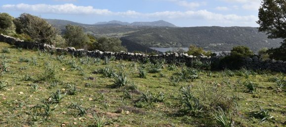 354038m² Land in Luras, Italy No. 150977 5