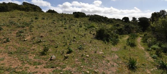 354038m² Land in Luras, Italy No. 150977 10