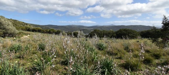 354038m² Land in Luras, Italy No. 150977 12