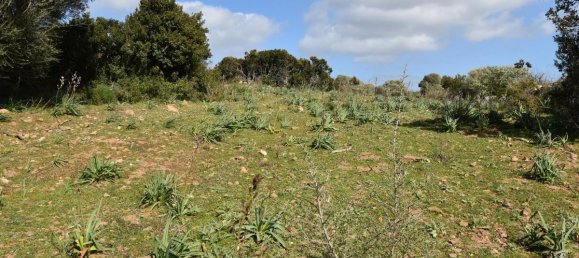 354038m² Land in Luras, Italy No. 150977 7