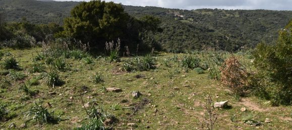 354038m² Land in Luras, Italy No. 150977 8