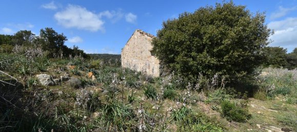 354038m² Land in Luras, Italy No. 150977 17