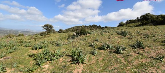 354038m² Land in Luras, Italy No. 150977 11