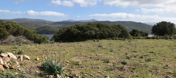 354038m² Land in Luras, Italy No. 150977 22