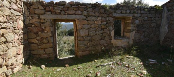 354038m² Land in Luras, Italy No. 150977 14