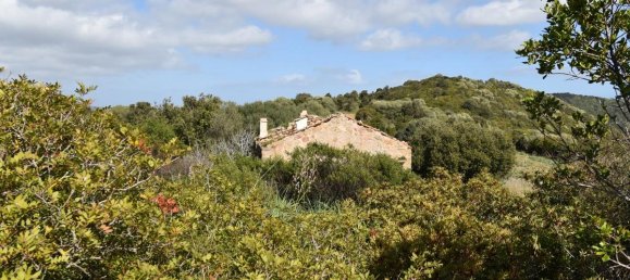 354038m² Land in Luras, Italy No. 150977 20