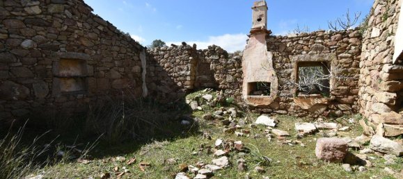 354038m² Land in Luras, Italy No. 150977 15