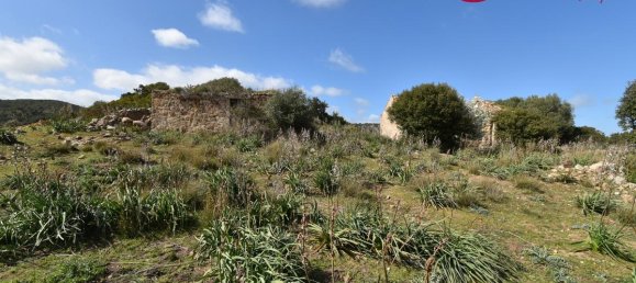 354038m² Land in Luras, Italy No. 150977 23