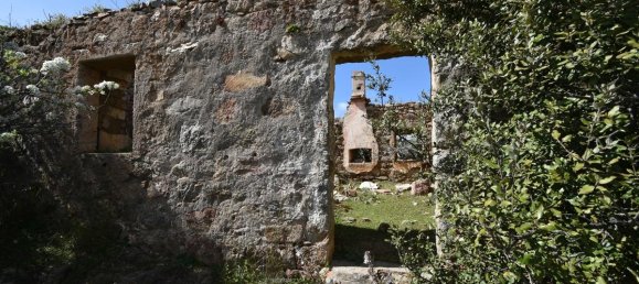 354038m² Land in Luras, Italy No. 150977 16