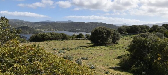 354038m² Land in Luras, Italy No. 150977 19