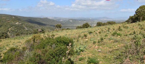 354038m² Land in Luras, Italy No. 150977 2