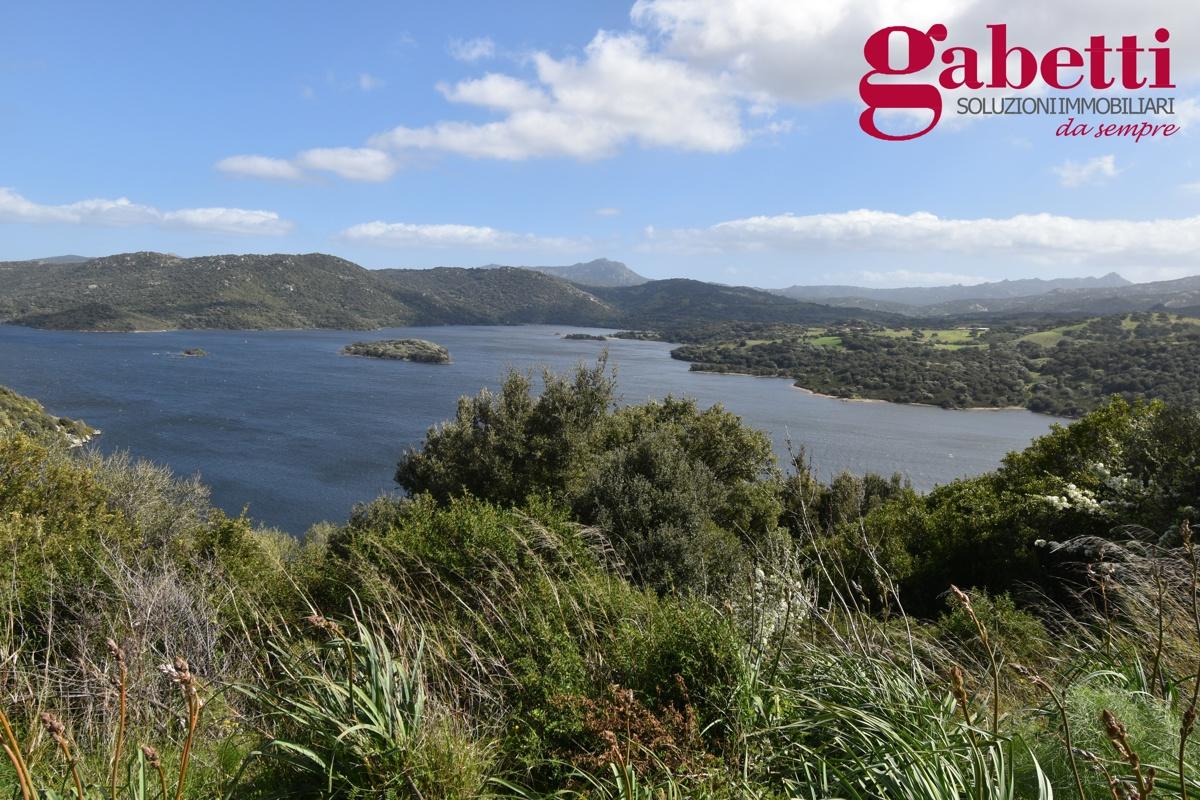 354038m² Land in Luras, Italy No. 150977