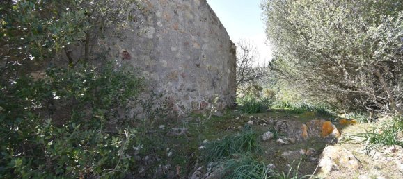 354038m² Land in Luras, Italy No. 150977 13