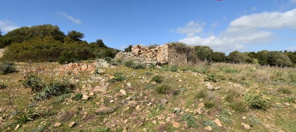 354038m² Land in Luras, Italy No. 150977 21