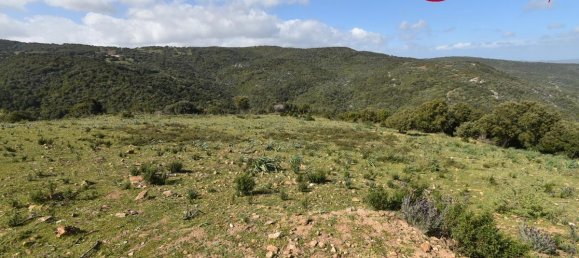 354038m² Land in Luras, Italy No. 150977 3