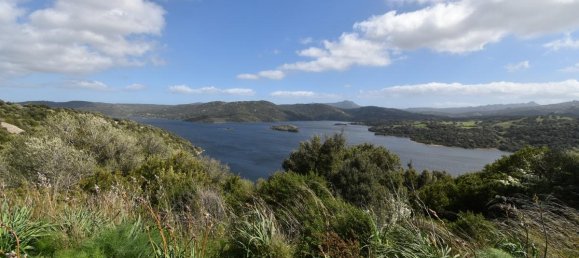 354038m² Land in Luras, Italy No. 150977 25