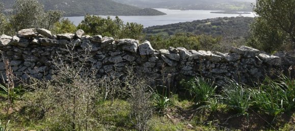 354038m² Land in Luras, Italy No. 150977 9