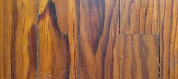 4 bedrooms House in Rion-des-Landes, France No. 285754 15