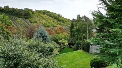 Grundstück in Döbling, Austria, Nr. 162520