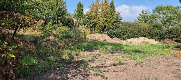  Land in Rostock, Germany No. 285458 5