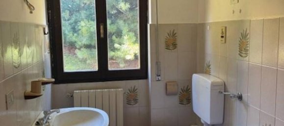 2غرفة شقة في Colazza, Italy رقم 19313 14