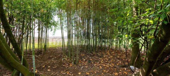 3 Schlafzimmer Villa in Berzo San Fermo, Italy, Nr. 160306 14