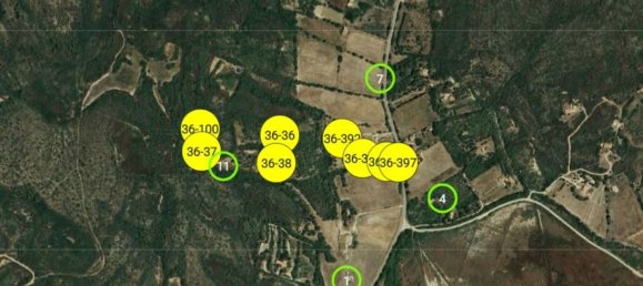 40625m² Land in Sardinia, Italy No. 274350 6