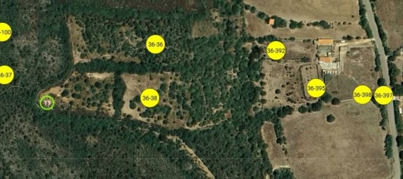 40625m² Land in Sardinia, Italy No. 274350 2
