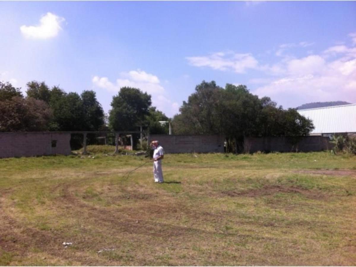 Земельный участок в Ла Пас, Мексика № 203801