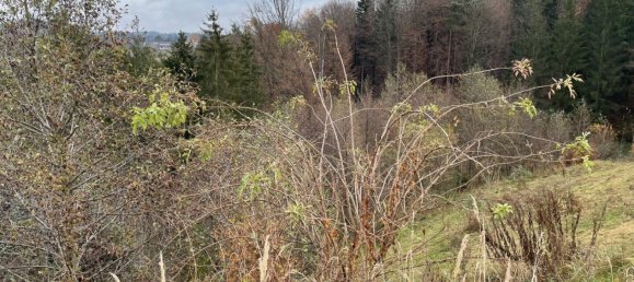  Land in Nestelbach bei Graz, Austria No. 131276 6