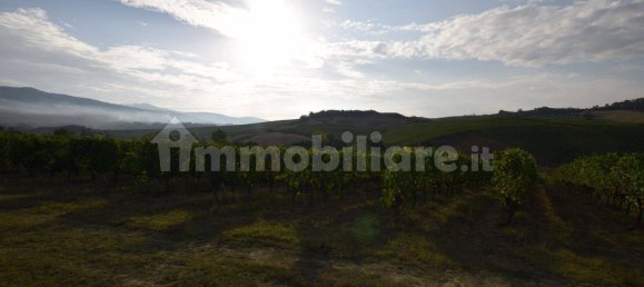 20 bedrooms House in Arezzo, Italy No. 92888 34