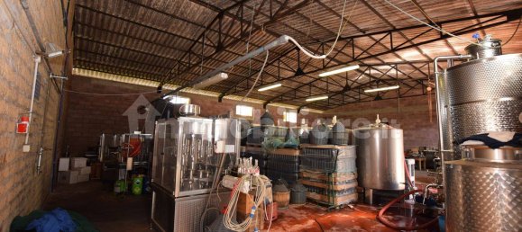 20 bedrooms House in Arezzo, Italy No. 92888 12