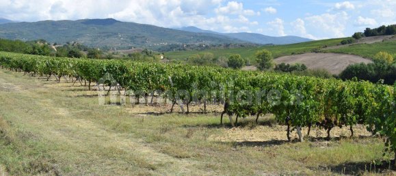 20 bedrooms House in Arezzo, Italy No. 92888 20