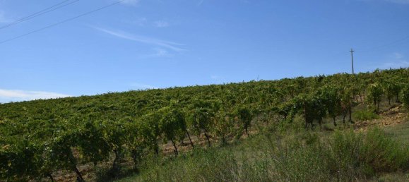 20 bedrooms House in Arezzo, Italy No. 92888 25