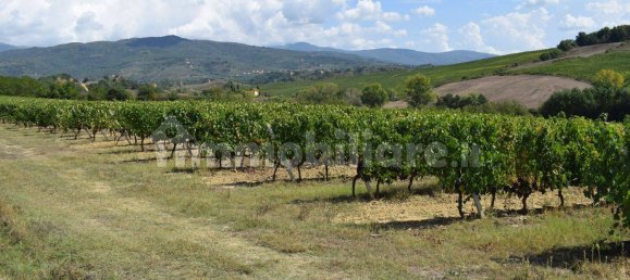 20 bedrooms House in Arezzo, Italy No. 92888 19