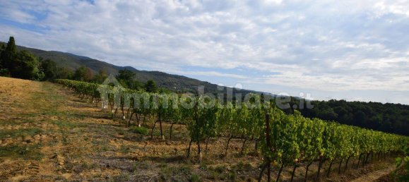 20 bedrooms House in Arezzo, Italy No. 92888 8