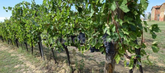 20 bedrooms House in Arezzo, Italy No. 92888 38