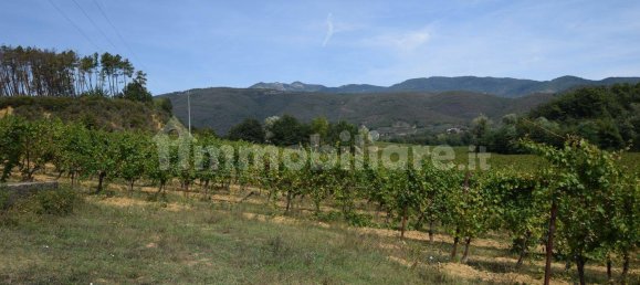 20 bedrooms House in Arezzo, Italy No. 92888 24